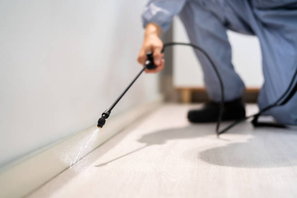 Licensed Pest Control service in Pablo, MT - Show Me Pest Control