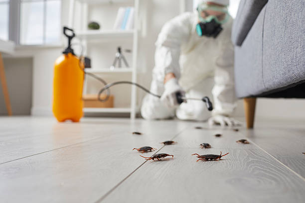 Post-Treatment Bed Bug Interceptor Monitoring in Pablo