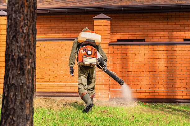 Bed Bug Clearance Verification and Documentation in Pablo